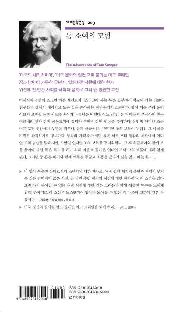 톰 소여의 모험