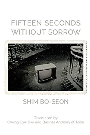 Fifteen Seconds Without Sorrow