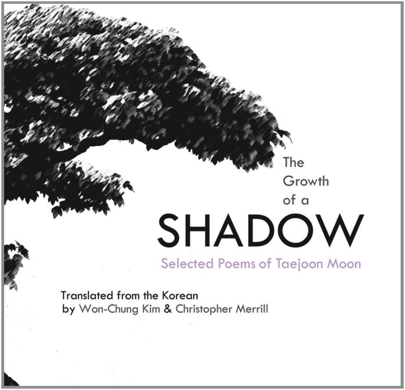 The Growth of a Shadow