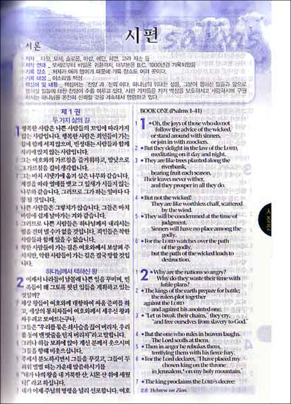 [투톤 다크브라운] 쉬운성경 & NLT 2nd Edition 중(中) 단본.색인 - 무지퍼