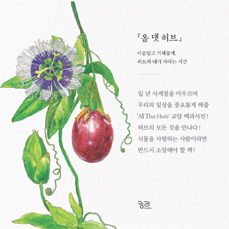 올 댓 허브 - 아름답고 지혜롭게, 허브와 내가 자라는 시간