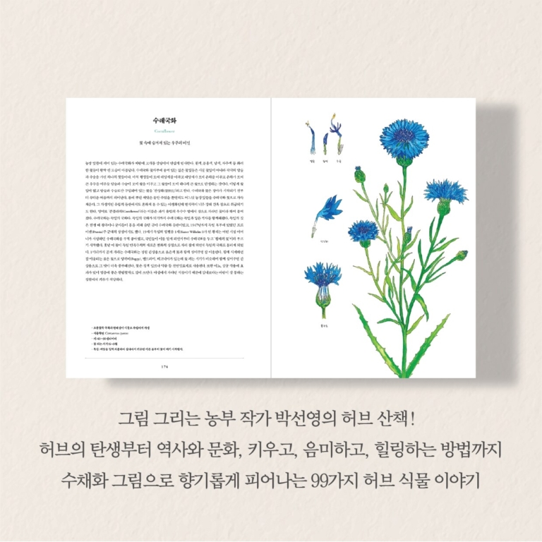 올 댓 허브 - 아름답고 지혜롭게, 허브와 내가 자라는 시간