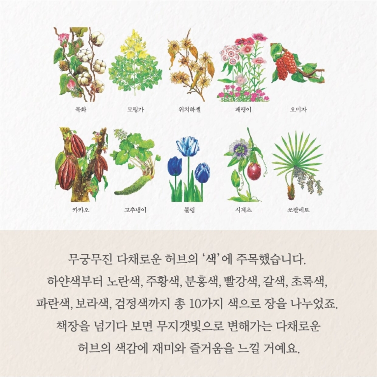 올 댓 허브 - 아름답고 지혜롭게, 허브와 내가 자라는 시간