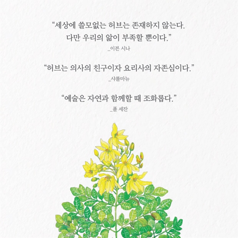 올 댓 허브 - 아름답고 지혜롭게, 허브와 내가 자라는 시간