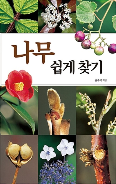 나무 쉽게 찾기 - 전면 개정판