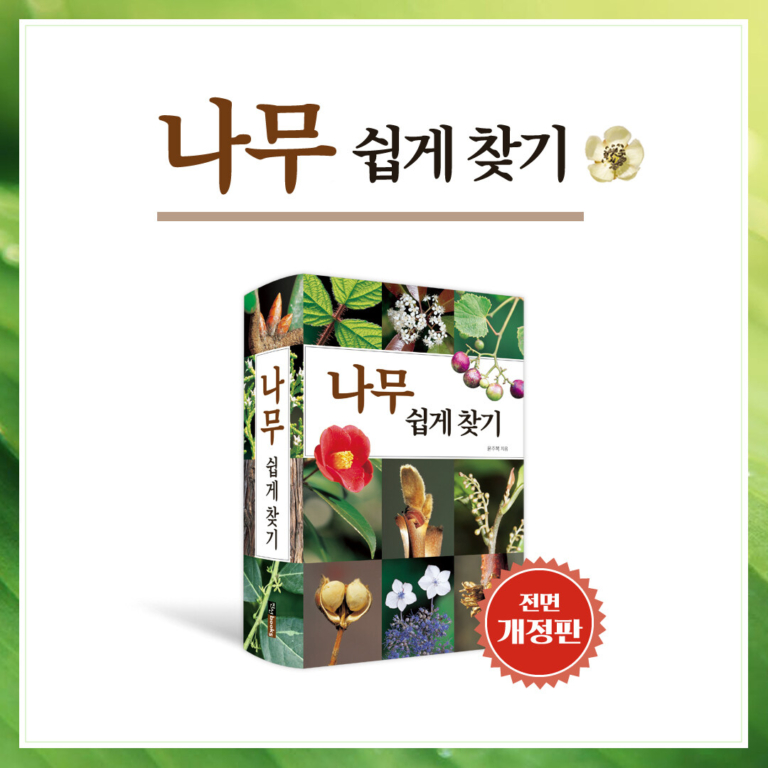 나무 쉽게 찾기 - 전면 개정판