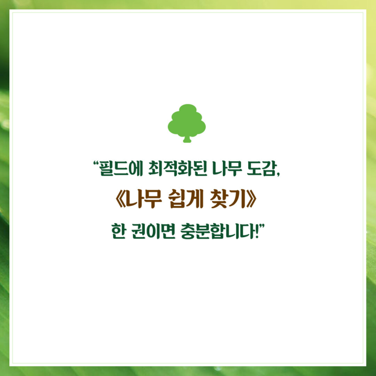 나무 쉽게 찾기 - 전면 개정판