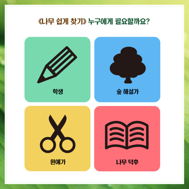 나무 쉽게 찾기 - 전면 개정판