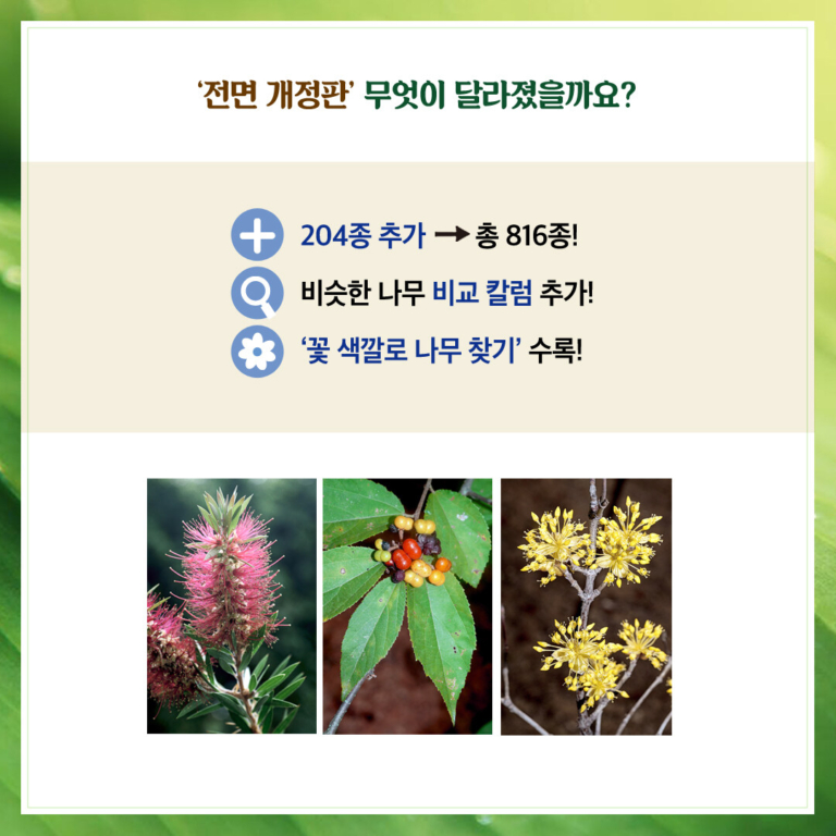 나무 쉽게 찾기 - 전면 개정판