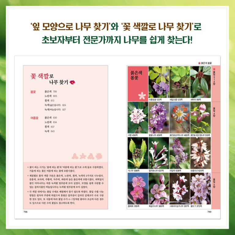 나무 쉽게 찾기 - 전면 개정판