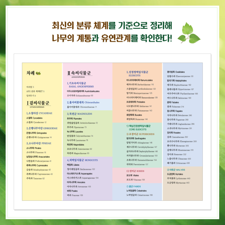 나무 쉽게 찾기 - 전면 개정판