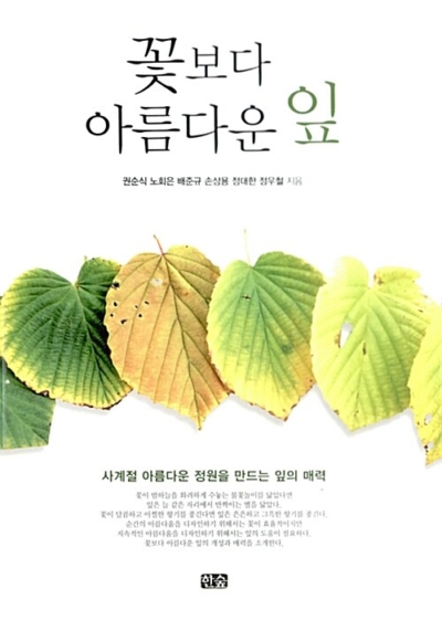 꽃보다 아름다운 잎