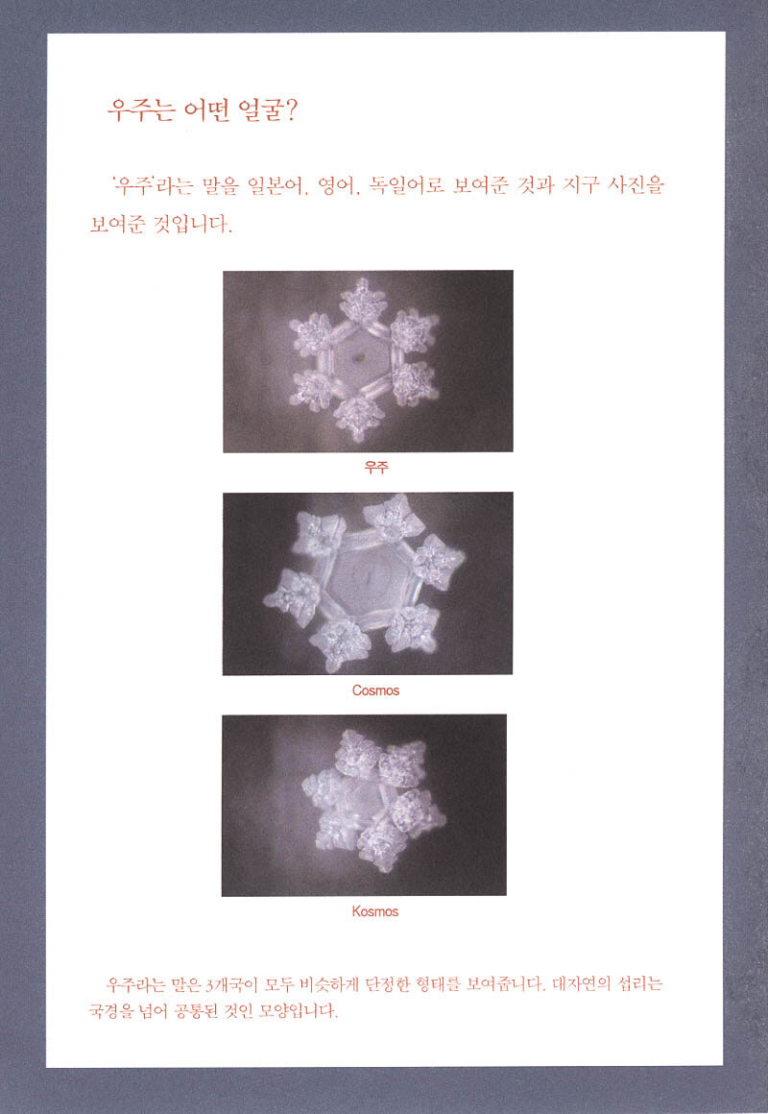 물은 답을 알고 있다 - 물이 전하는 놀라운 메시지