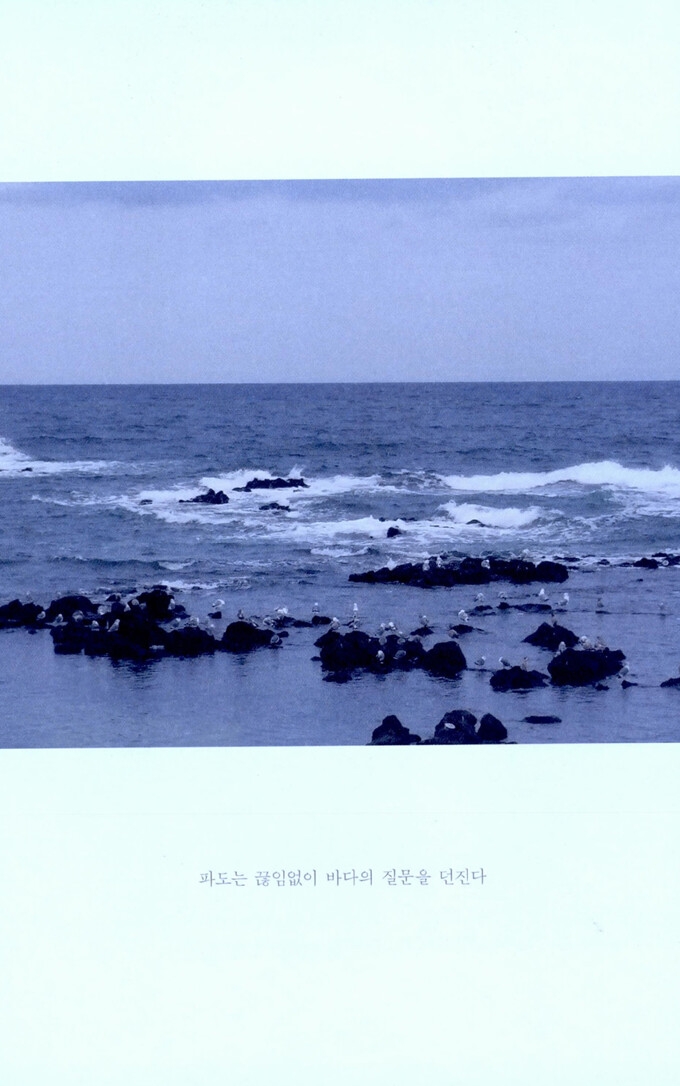 당신이라는 바람이 내게로 불어왔다