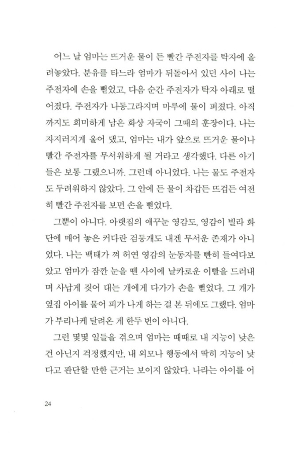 아몬드 (양장)