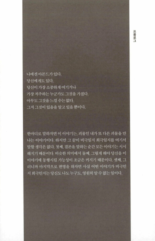 아몬드 (100만 부 기념 특별판)