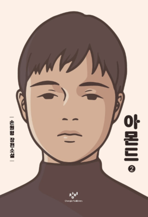 아몬드 2 (큰글자도서)