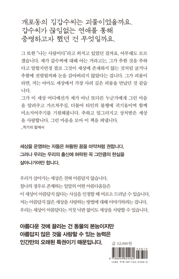 개포동 김갑수씨의 사정