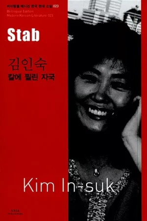 칼에 찔린 자국 Stab
