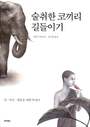 술취한 코끼리 길들이기