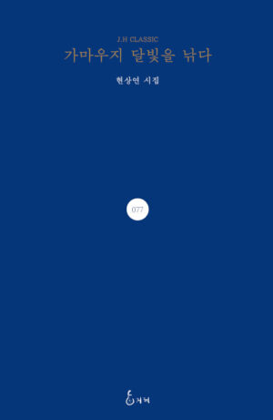 가마우지 달빛을 낚다