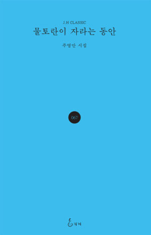 물토란이 자라는 동안